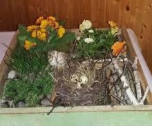 VEĽKONOČN&Eacute; ARANŽOVANIE